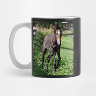 TB COLT Mug